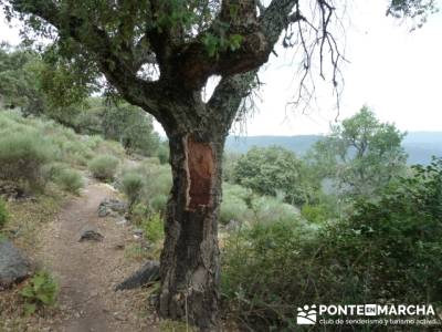 Parque Nacional Monfragüe - Reserva Natural Garganta de los Infiernos-Jerte;senderismo entre semana